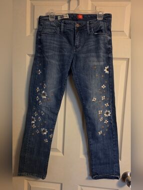 Anthropologie Pilcro Hyphen embroidered jeans Size 28